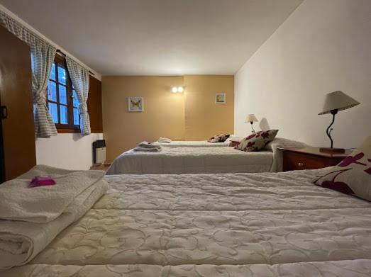 Hotel Pinto Terraza Esquel Εξωτερικό φωτογραφία